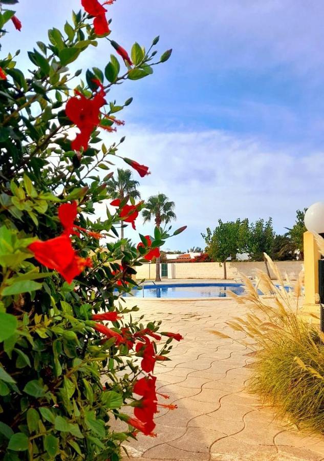 شقة Apartamento Con Piscina En Ciudadela, Cala En Blanes كالا إن بلانيس المظهر الخارجي الصورة